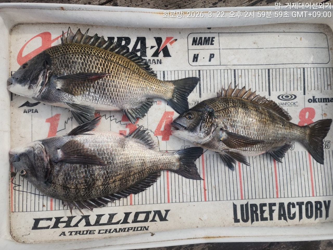 ����ڰ� �ø� �̹���