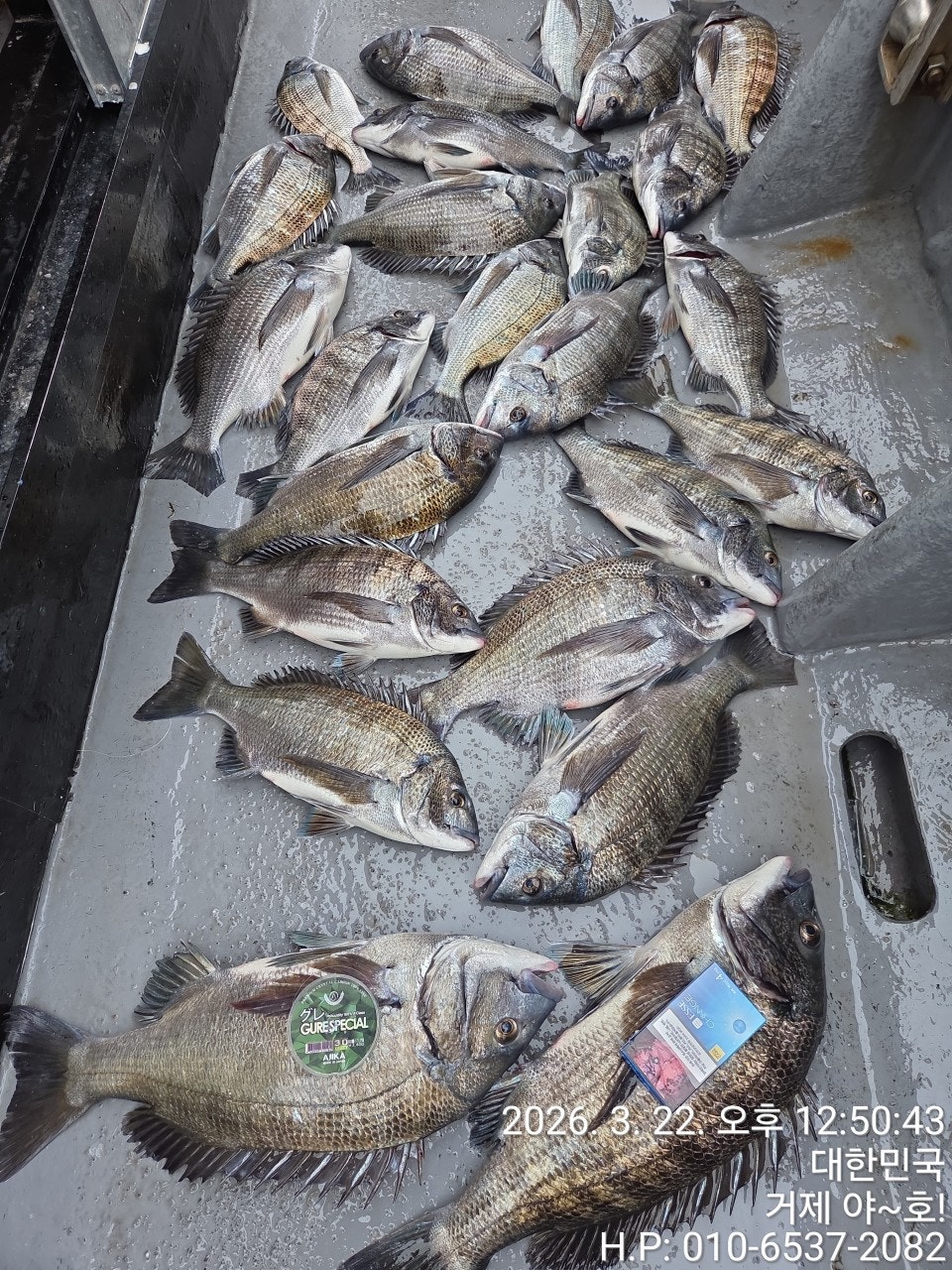 ����ڰ� �ø� �̹���