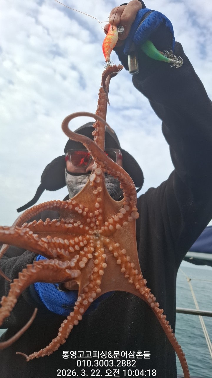 ����ڰ� �ø� �̹���