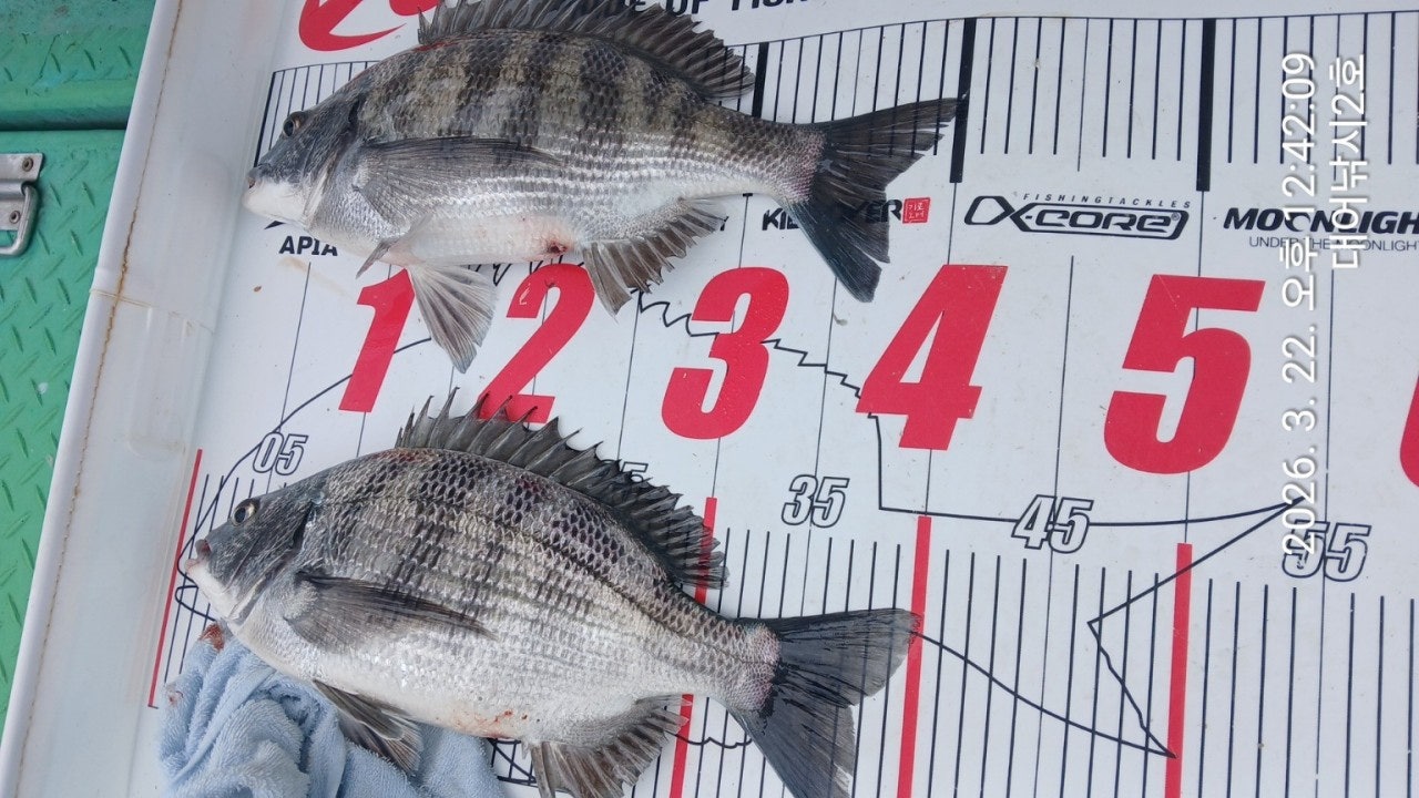 ����ڰ� �ø� �̹���