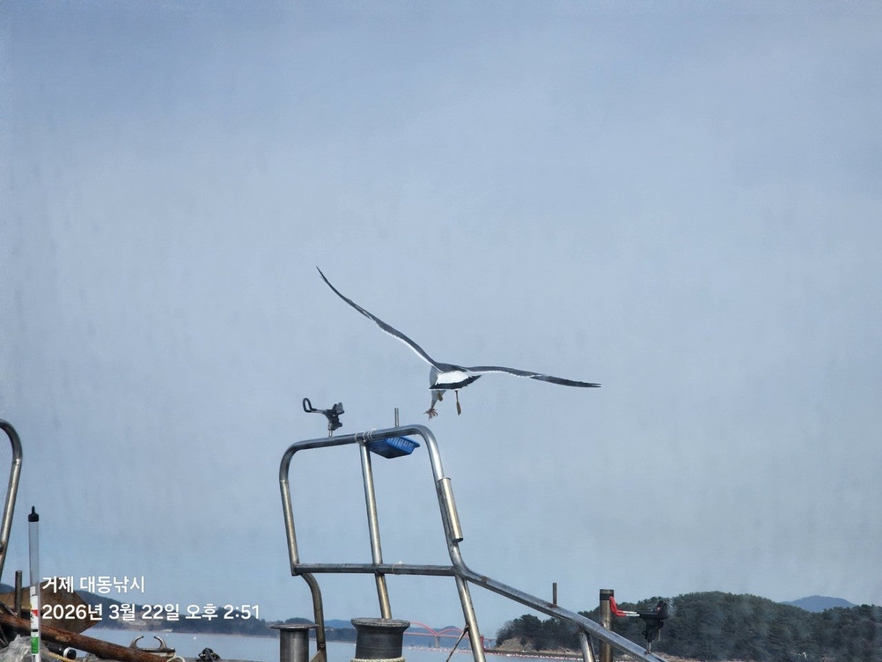 ����ڰ� �ø� �̹���