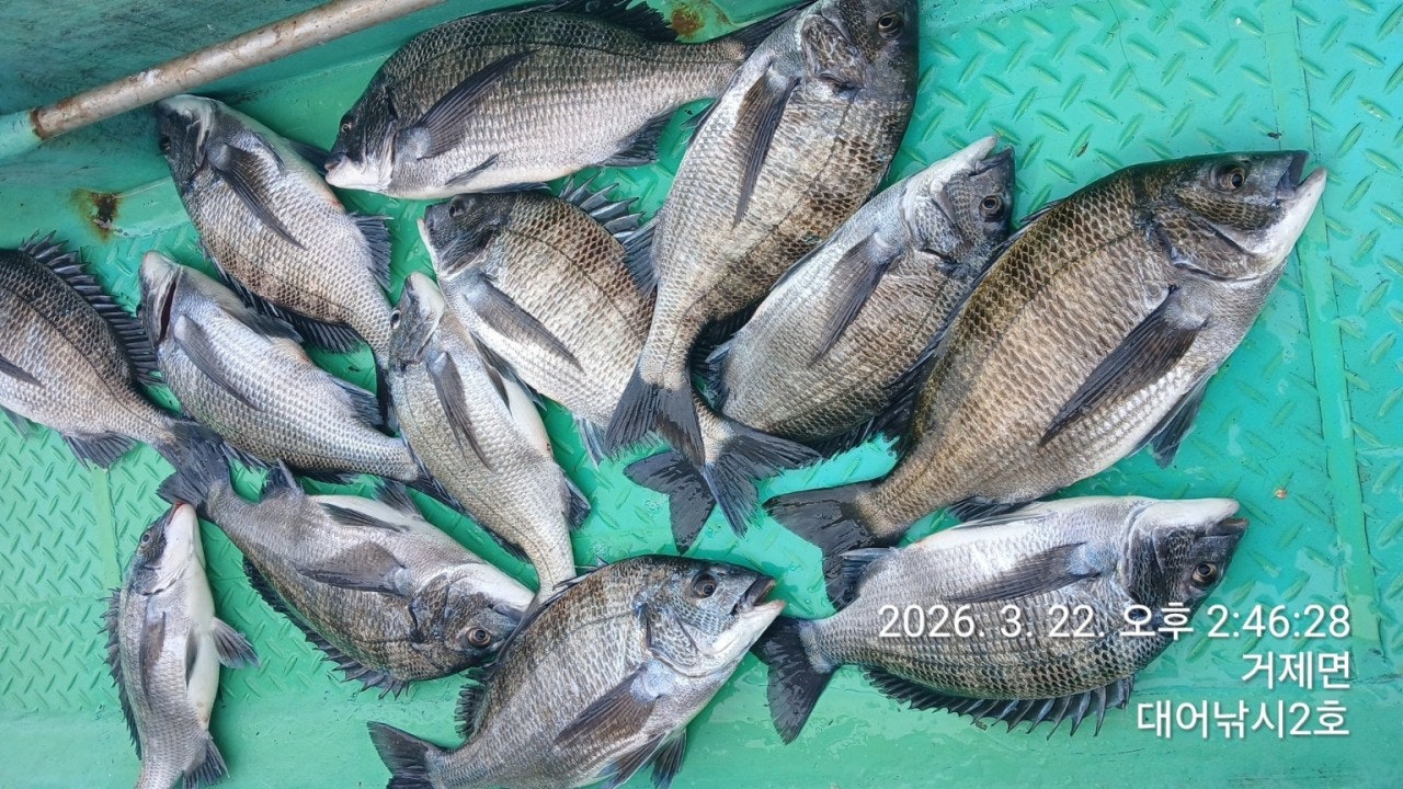 ����ڰ� �ø� �̹���