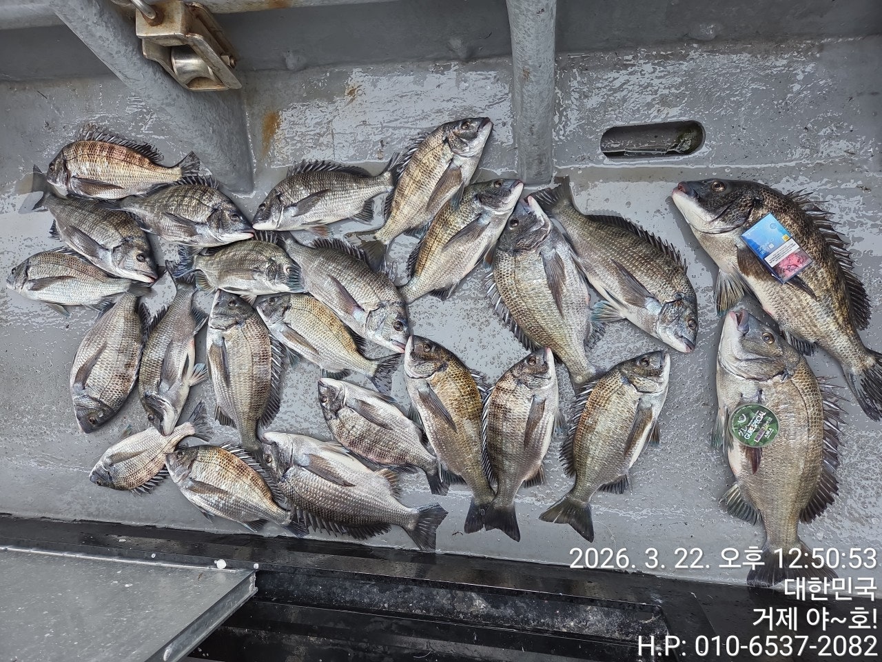 ����ڰ� �ø� �̹���