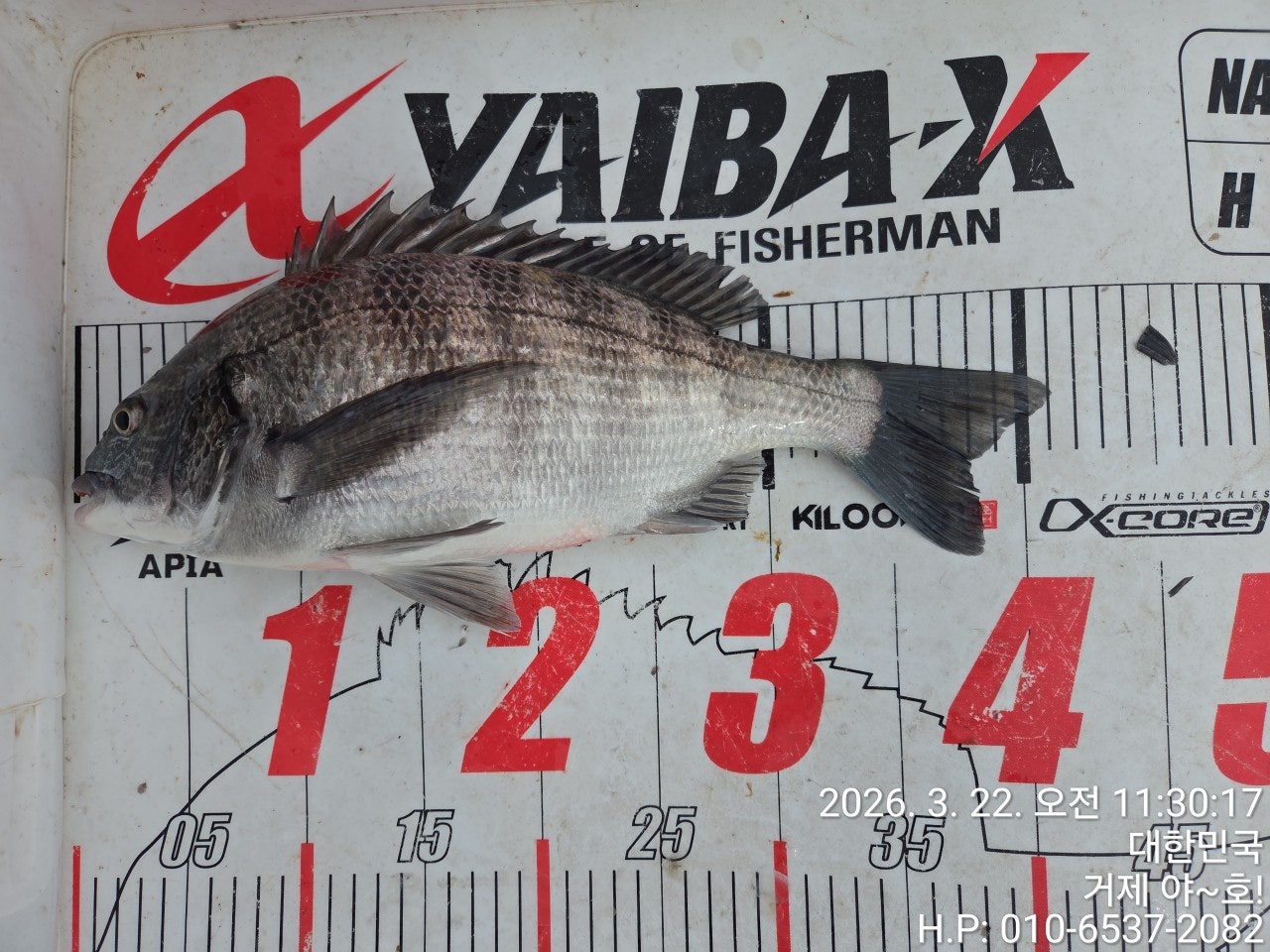 ����ڰ� �ø� �̹���