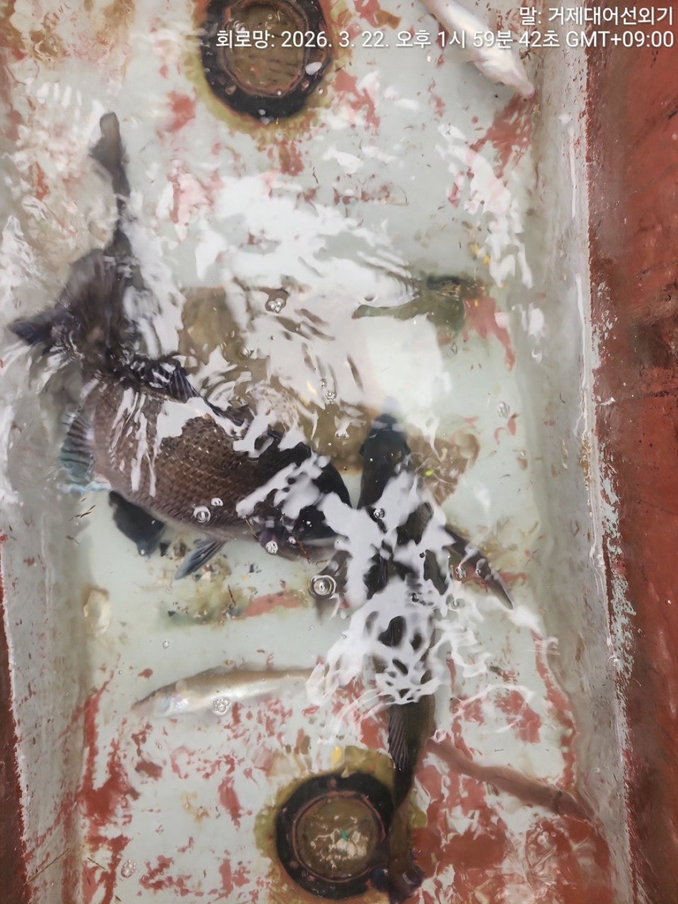 ����ڰ� �ø� �̹���