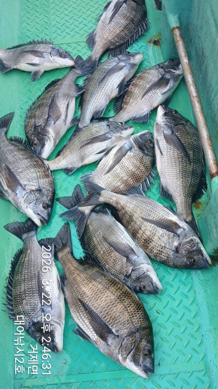 ����ڰ� �ø� �̹���