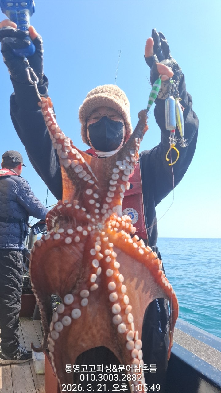 ����ڰ� �ø� �̹���