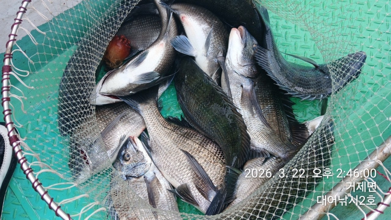 ����ڰ� �ø� �̹���