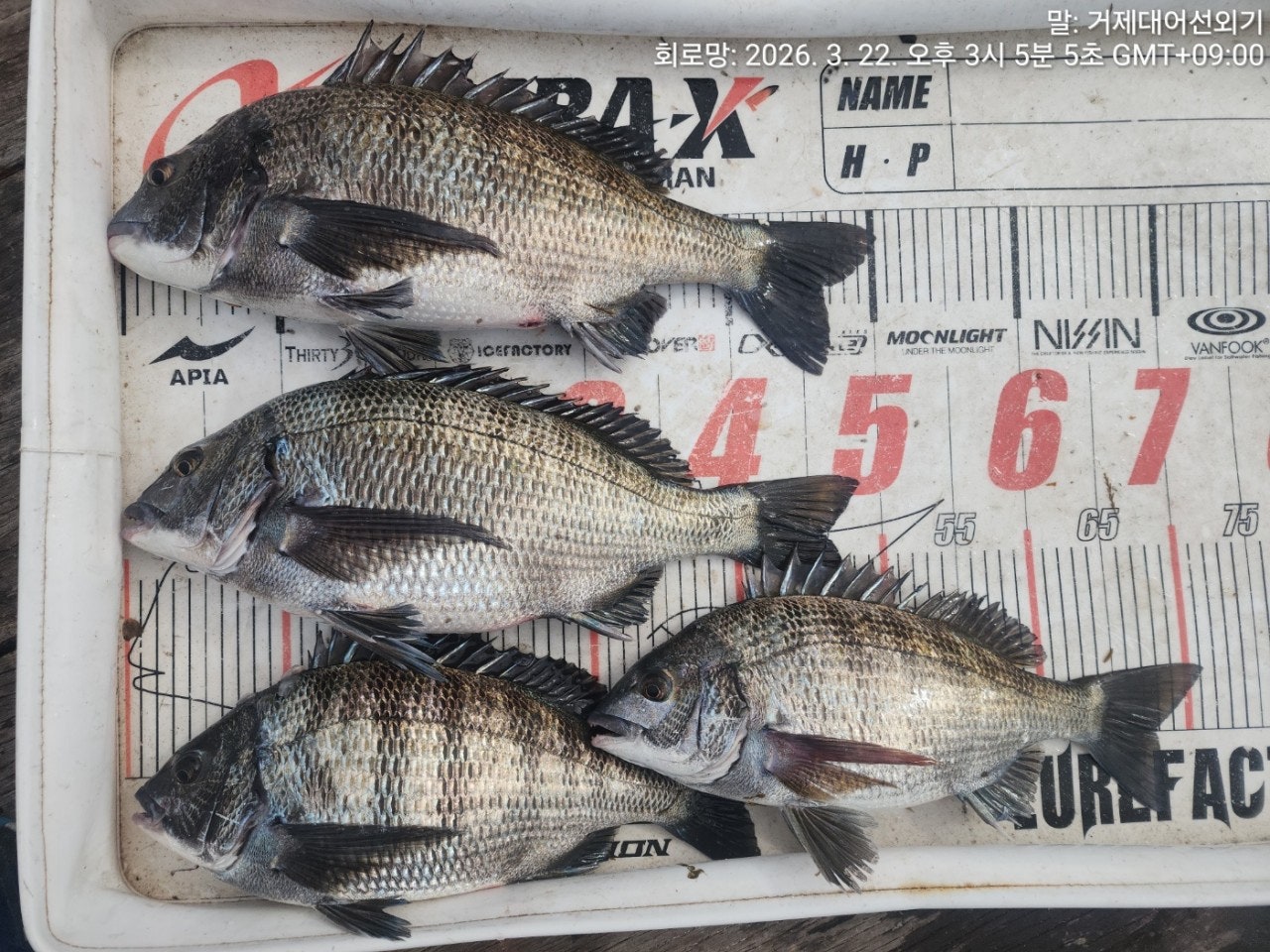 ����ڰ� �ø� �̹���