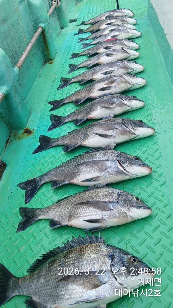 ����ڰ� �ø� �̹���