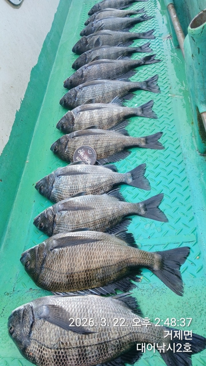 ����ڰ� �ø� �̹���