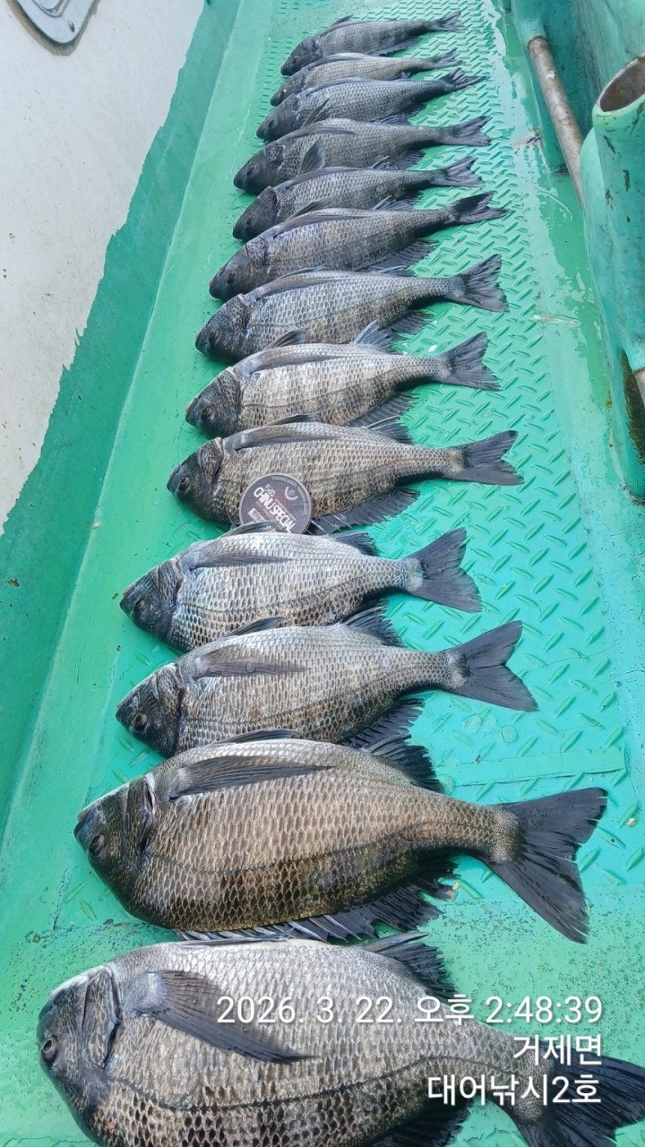 ����ڰ� �ø� �̹���