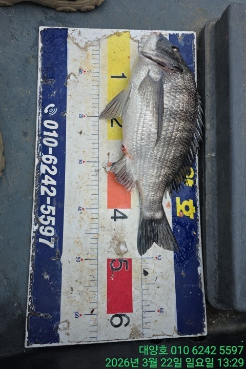 ����ڰ� �ø� �̹���