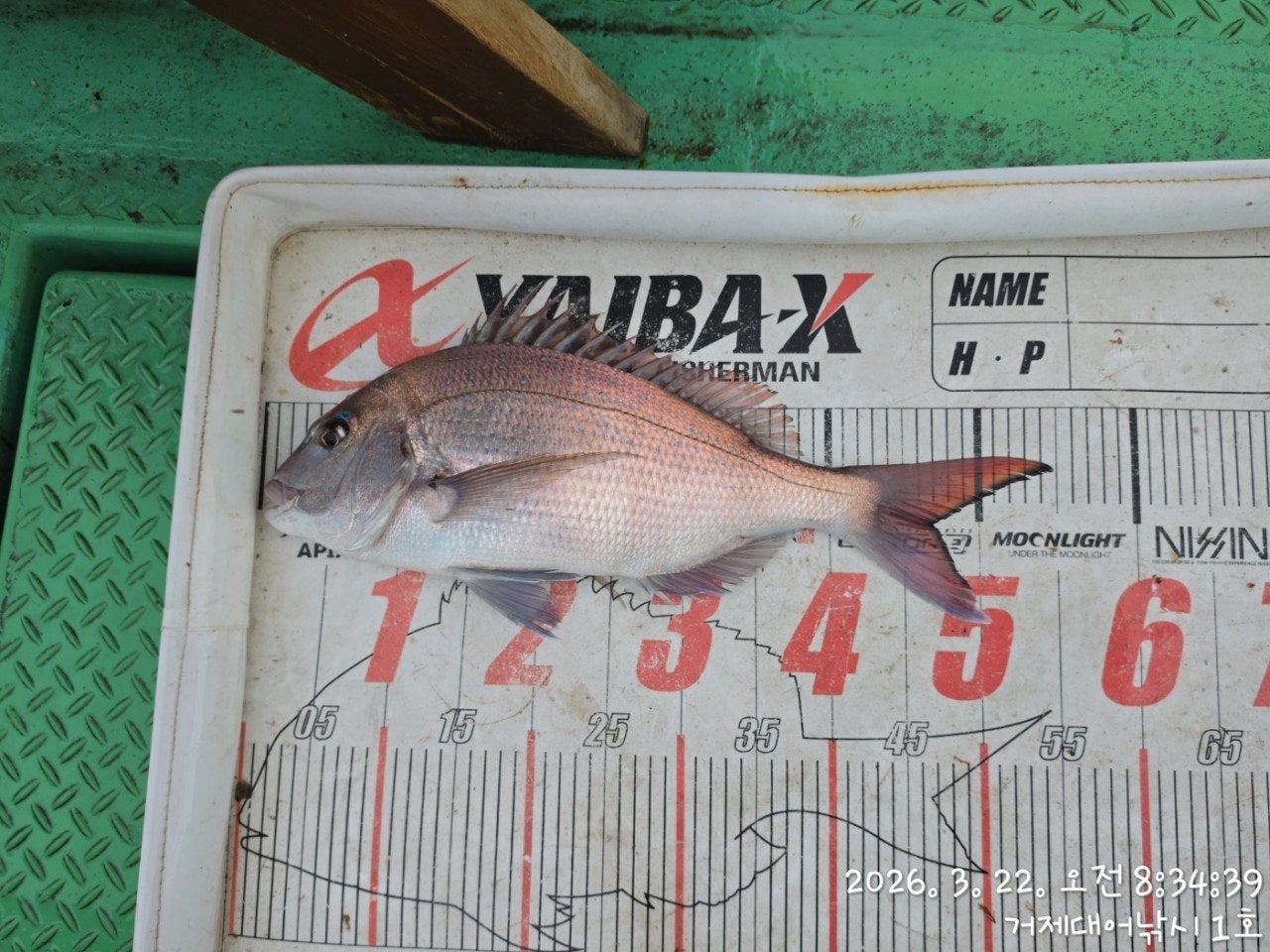 ����ڰ� �ø� �̹���