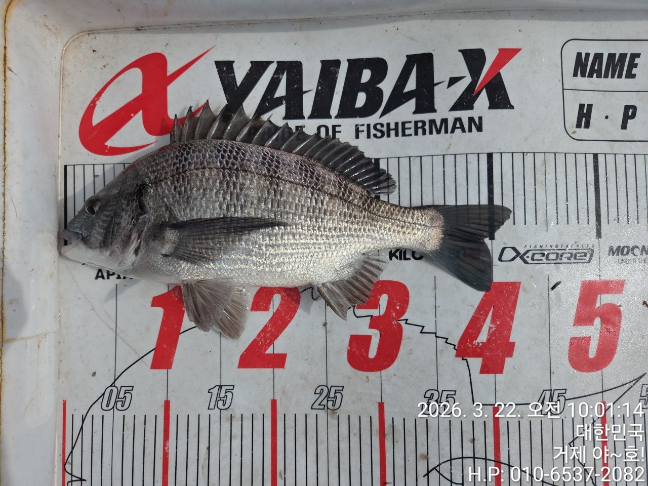 ����ڰ� �ø� �̹���