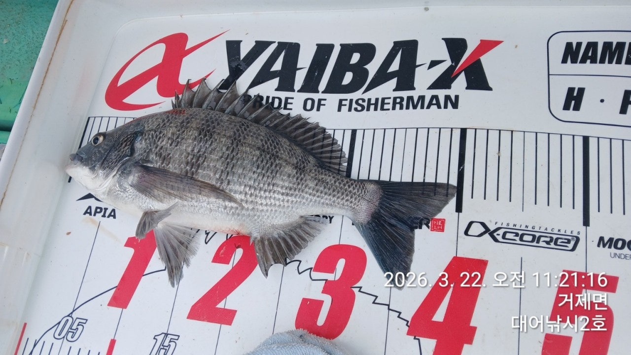 ����ڰ� �ø� �̹���