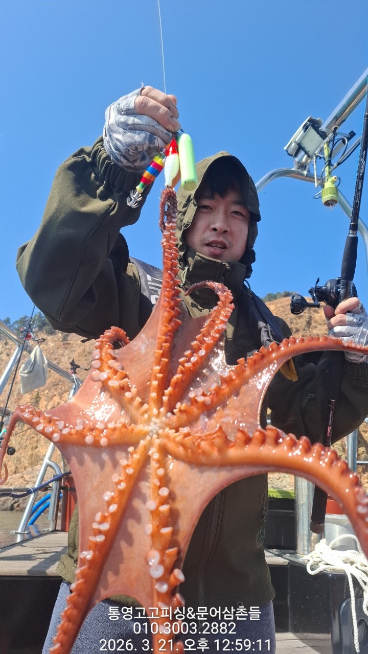 ����ڰ� �ø� �̹���