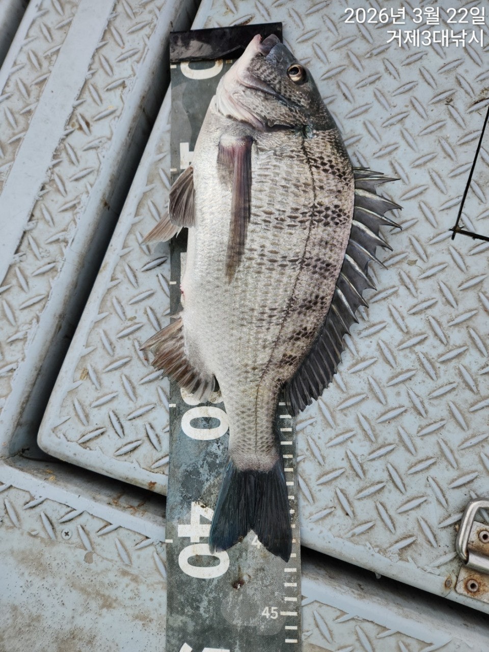 ����ڰ� �ø� �̹���