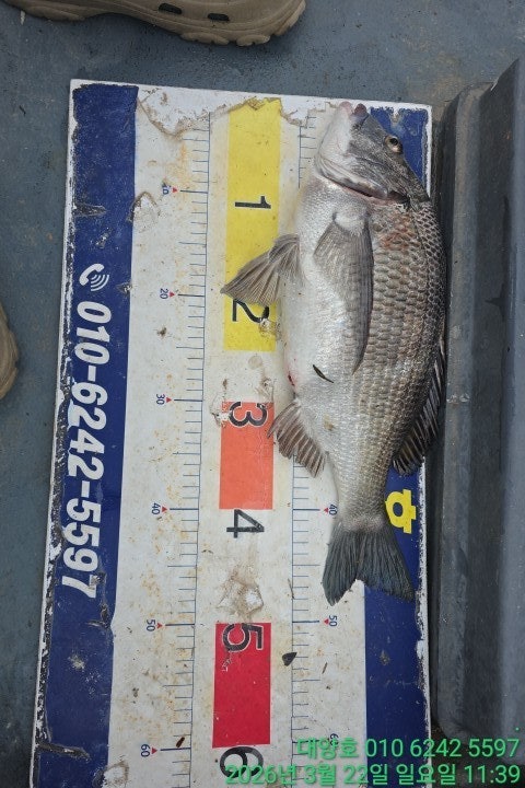 ����ڰ� �ø� �̹���