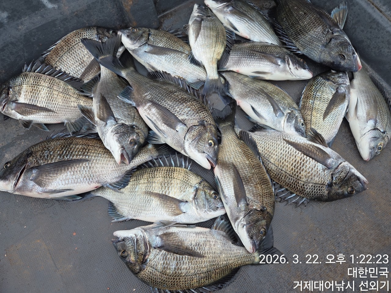 ����ڰ� �ø� �̹���