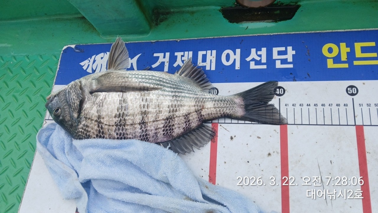 ����ڰ� �ø� �̹���