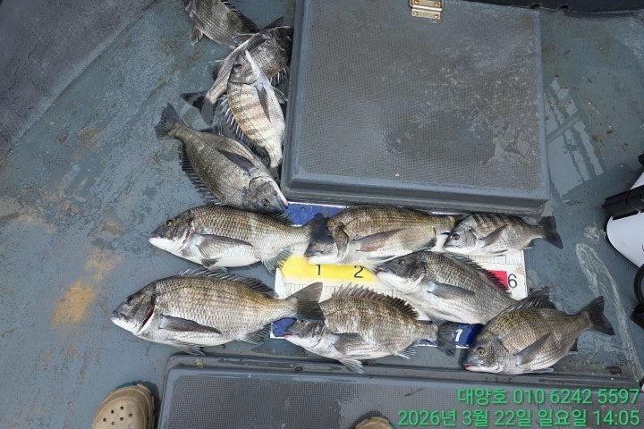 ����ڰ� �ø� �̹���