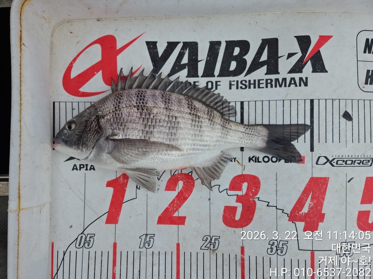 ����ڰ� �ø� �̹���