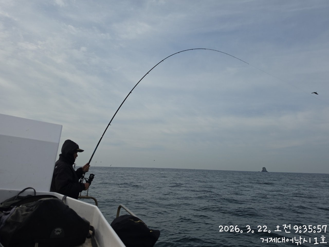 ����ڰ� �ø� �̹���