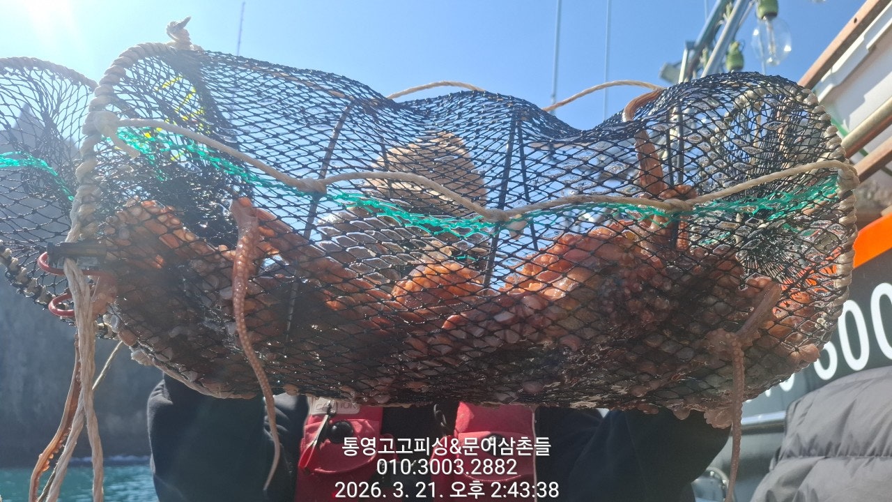 ����ڰ� �ø� �̹���