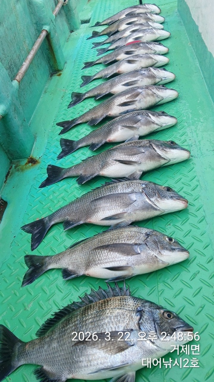 ����ڰ� �ø� �̹���