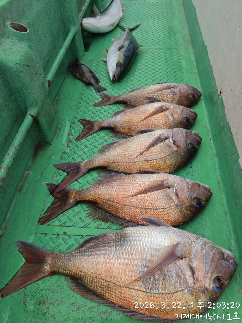 ����ڰ� �ø� �̹���