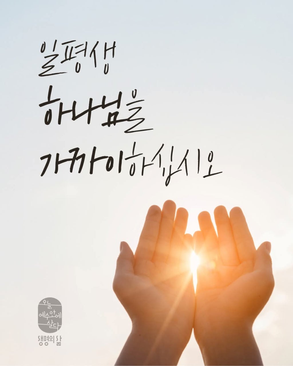 ����ڰ� �ø� �̹���