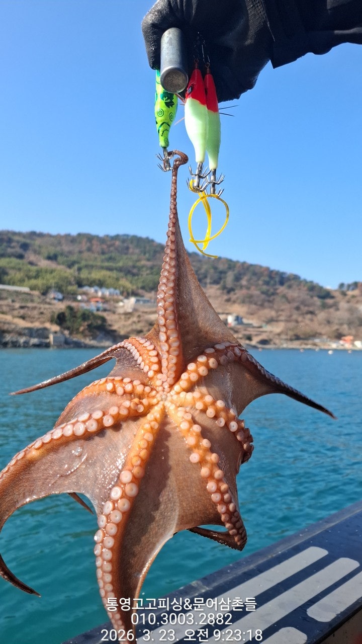 ����ڰ� �ø� �̹���