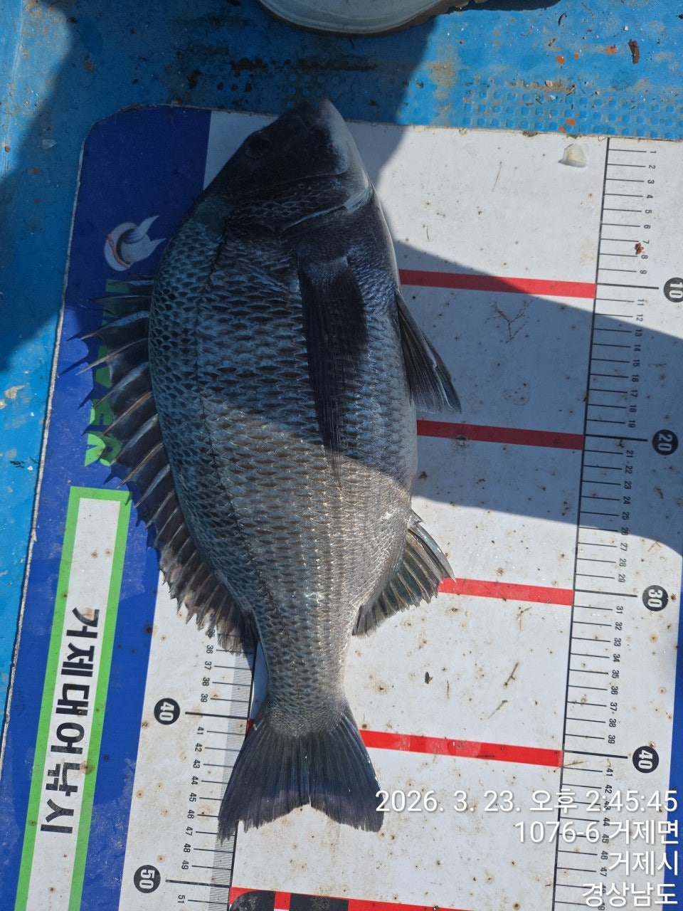 ����ڰ� �ø� �̹���