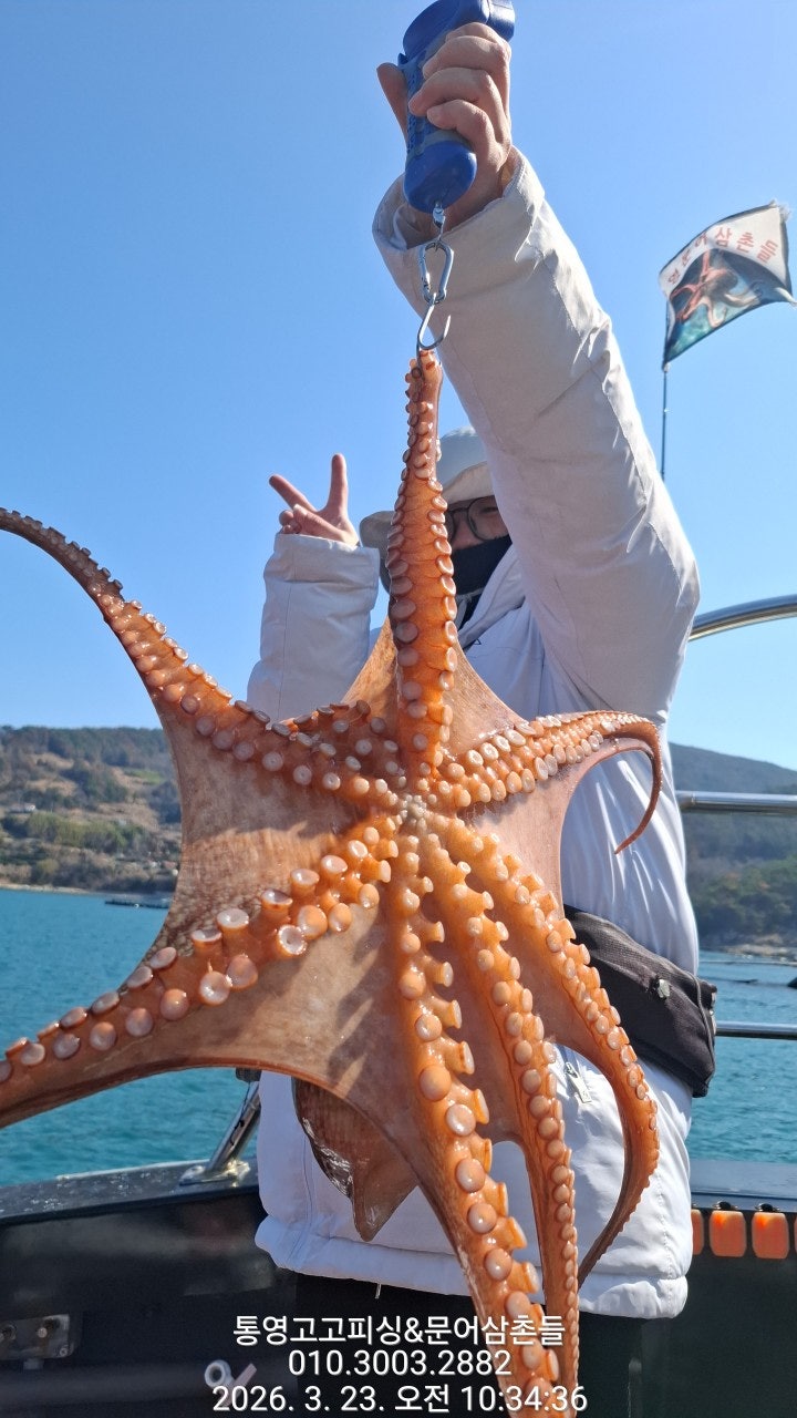 ����ڰ� �ø� �̹���