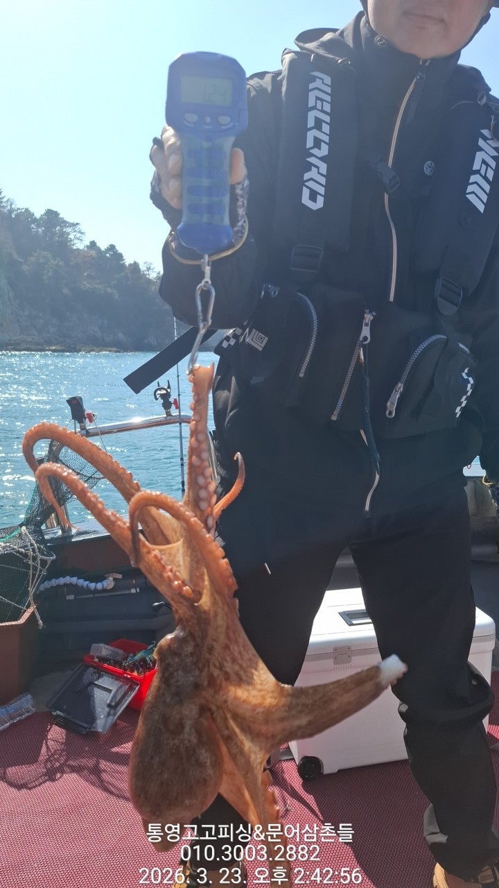 ����ڰ� �ø� �̹���