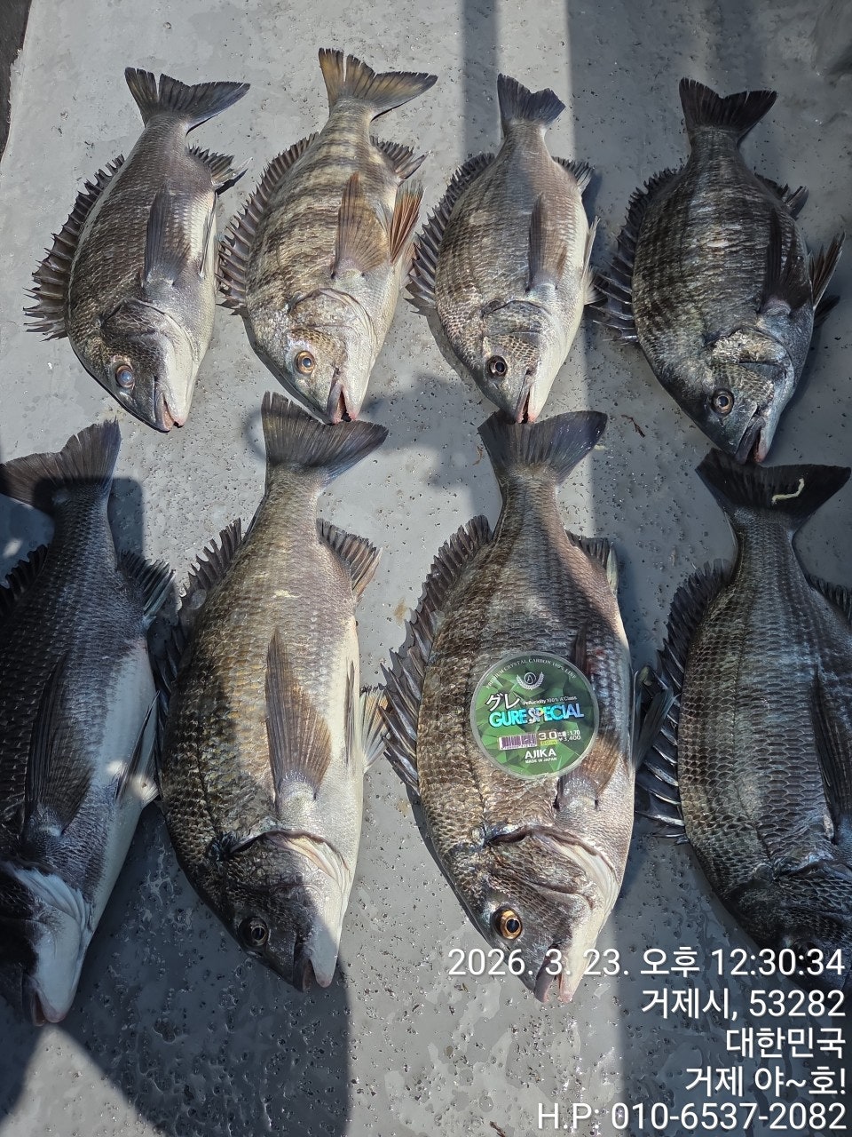 ����ڰ� �ø� �̹���