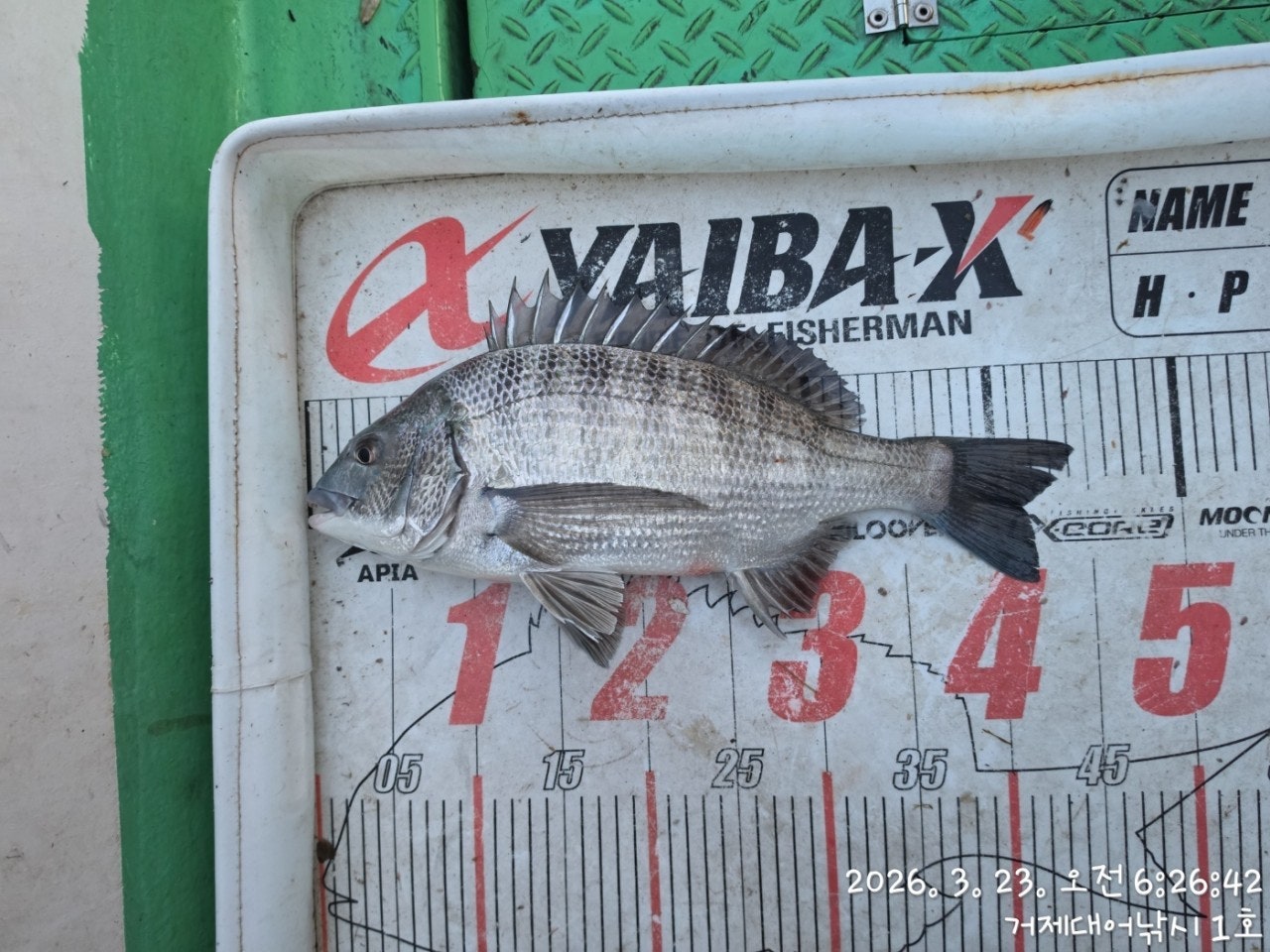 ����ڰ� �ø� �̹���