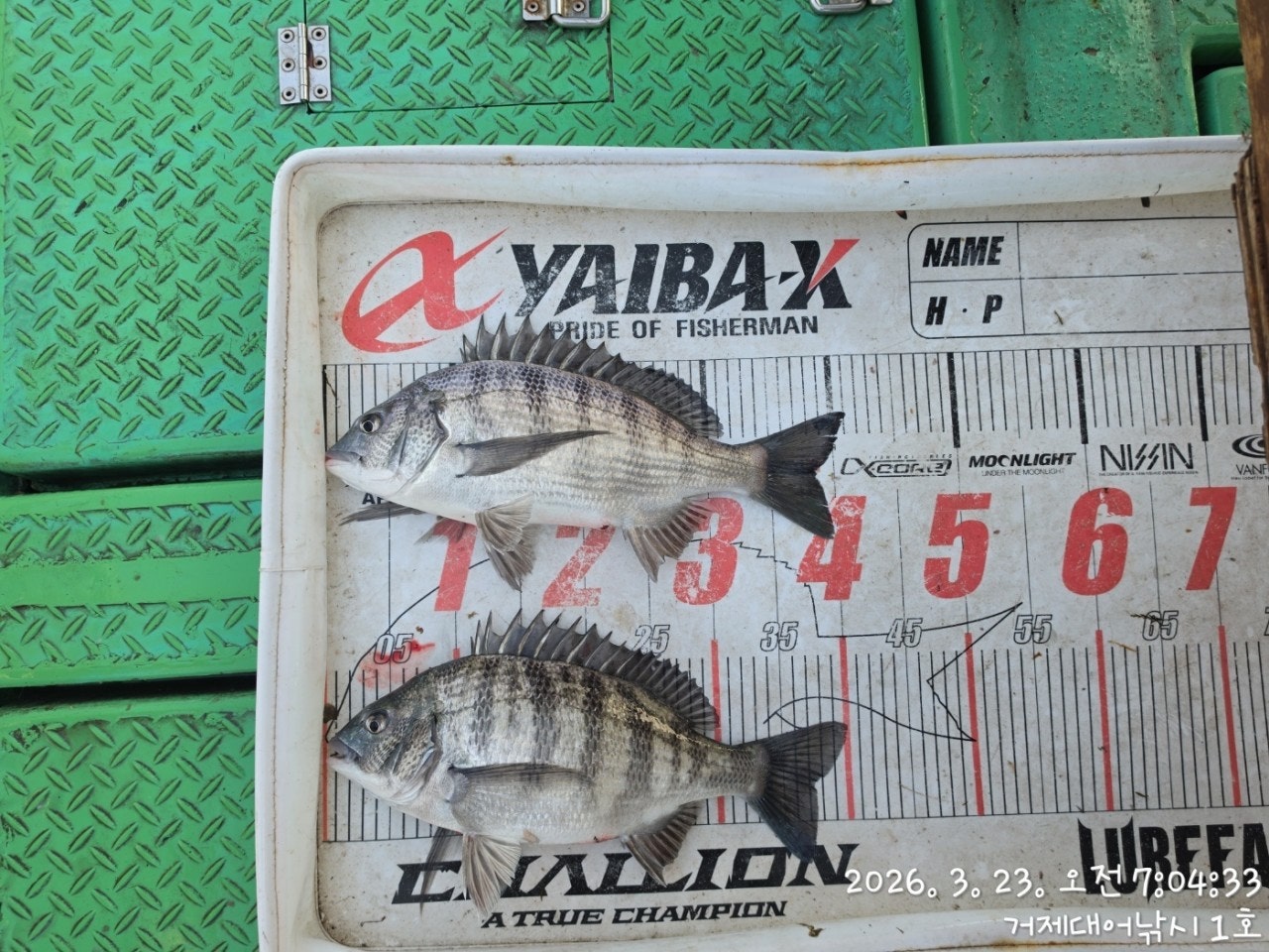 ����ڰ� �ø� �̹���