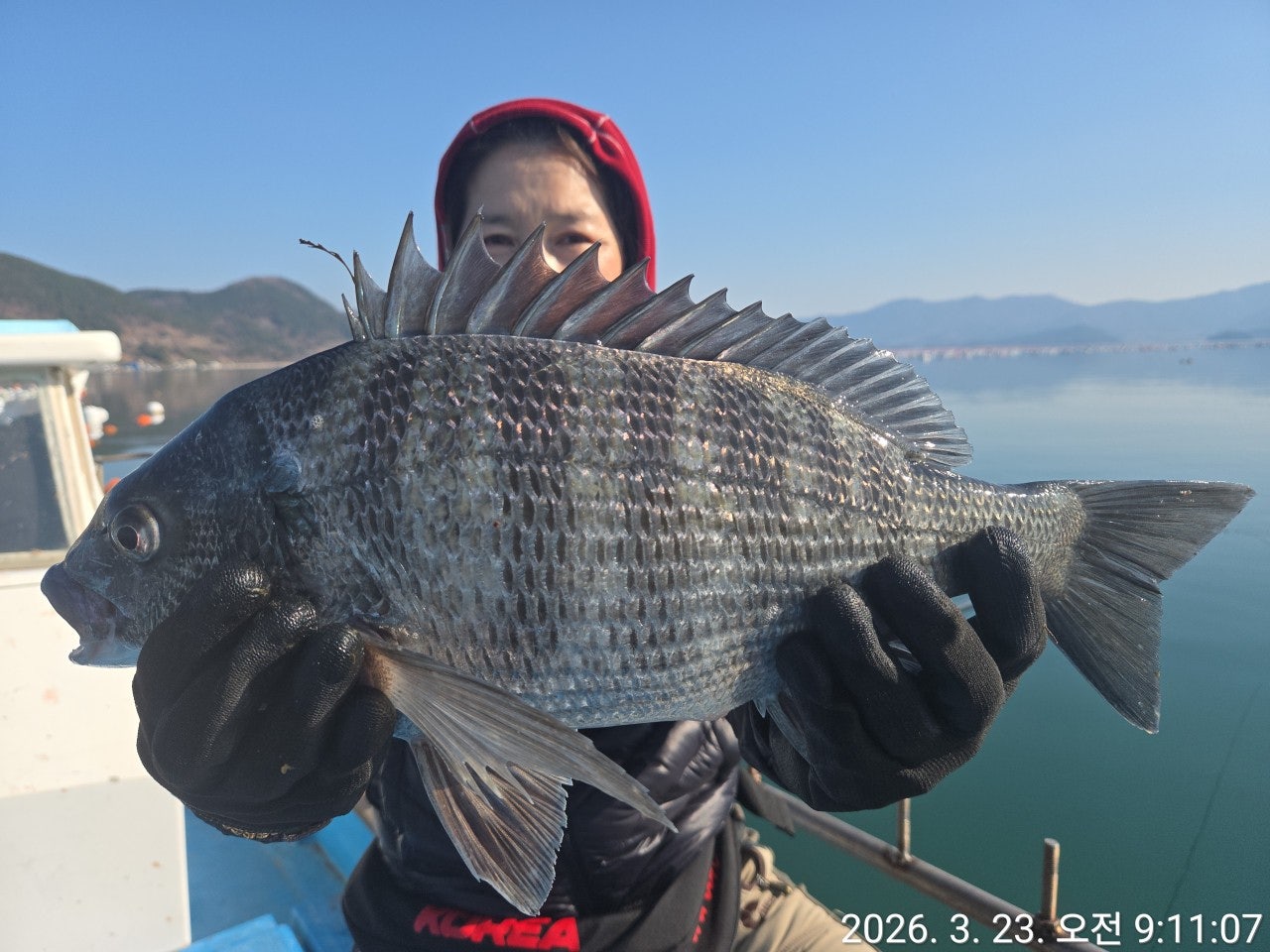 ����ڰ� �ø� �̹���