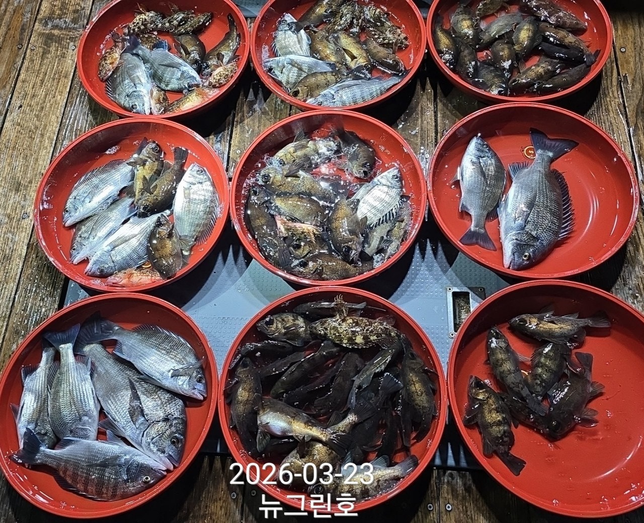 ����ڰ� �ø� �̹���