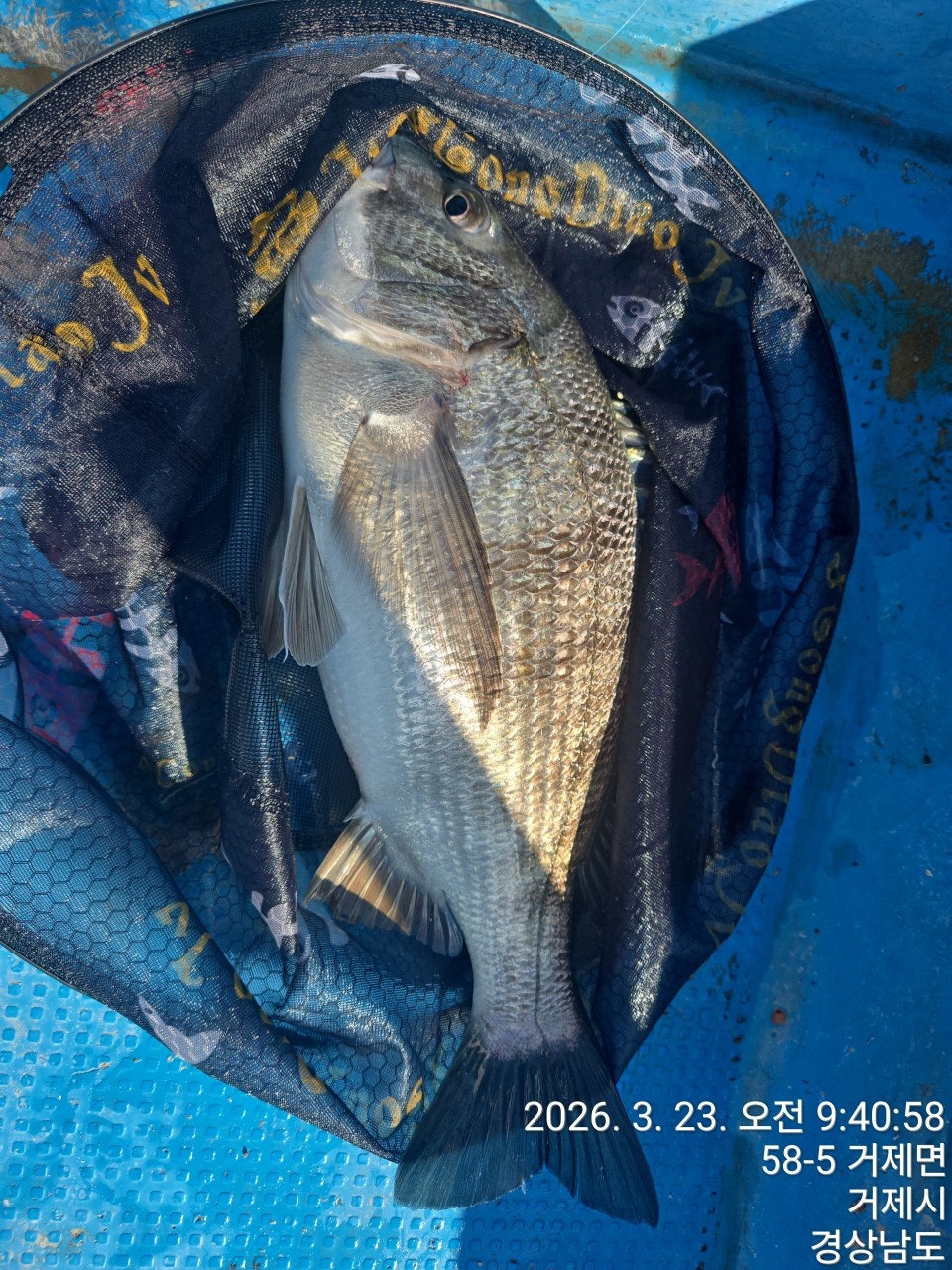 ����ڰ� �ø� �̹���