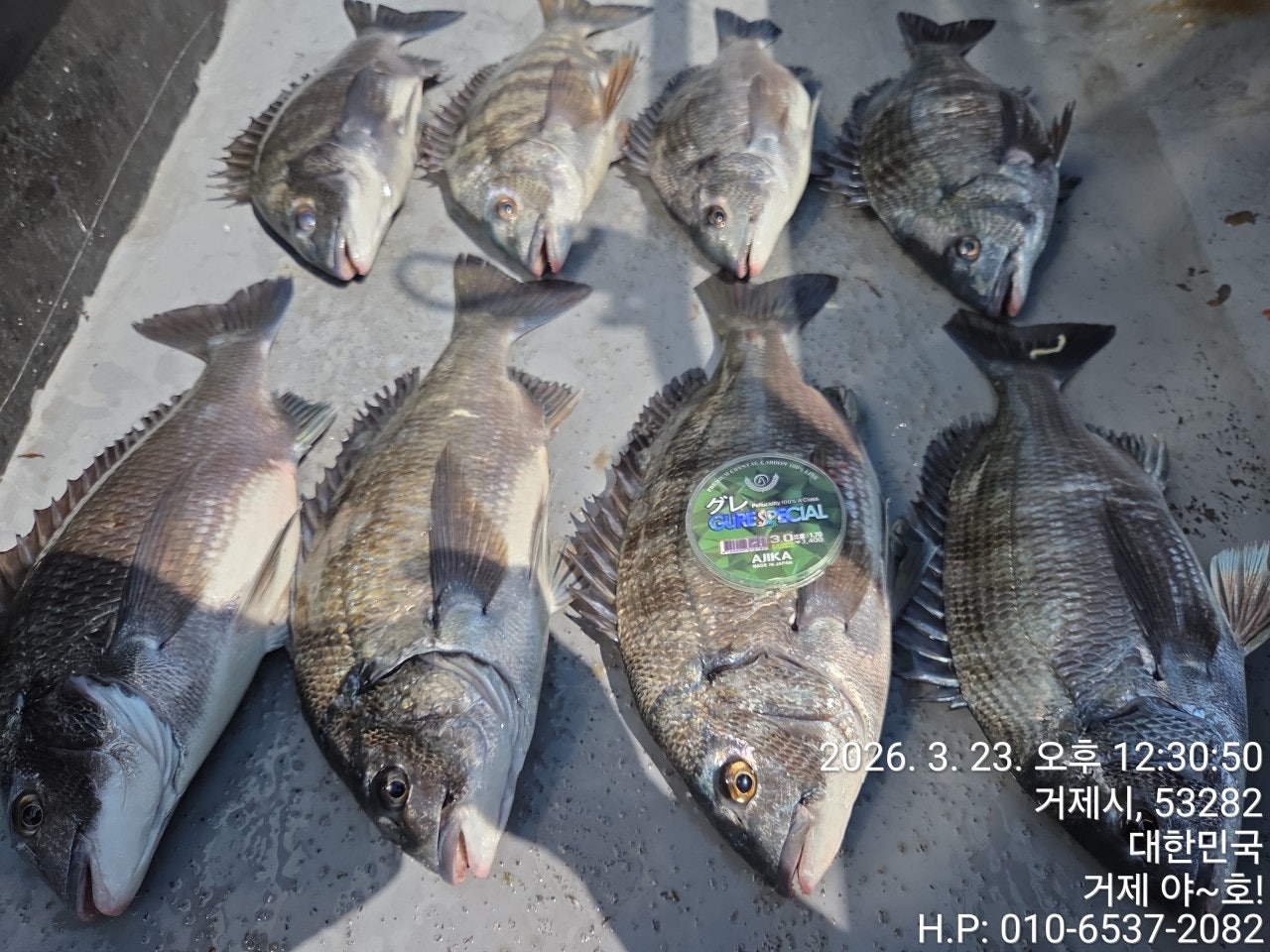 ����ڰ� �ø� �̹���