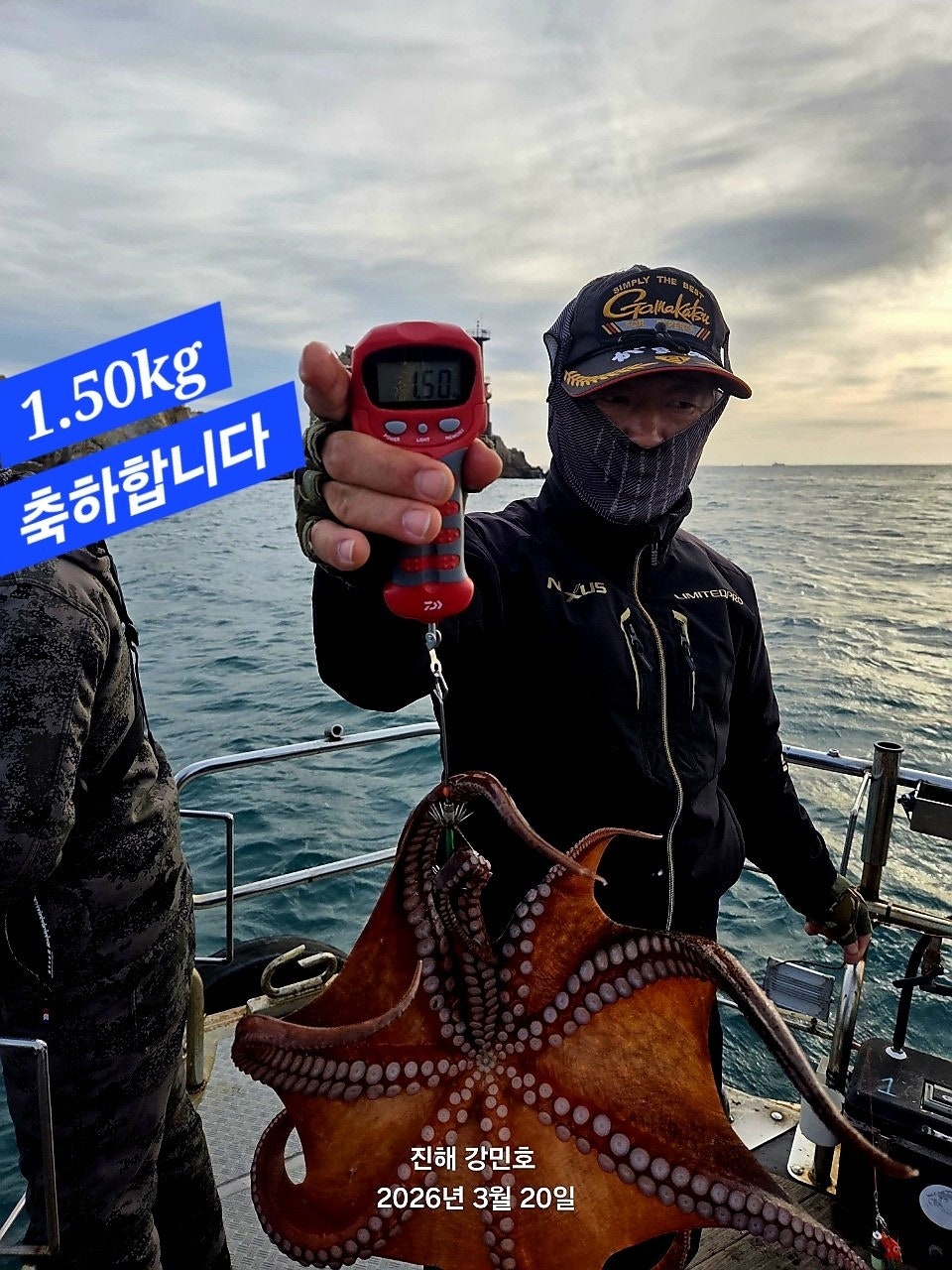 ����ڰ� �ø� �̹���