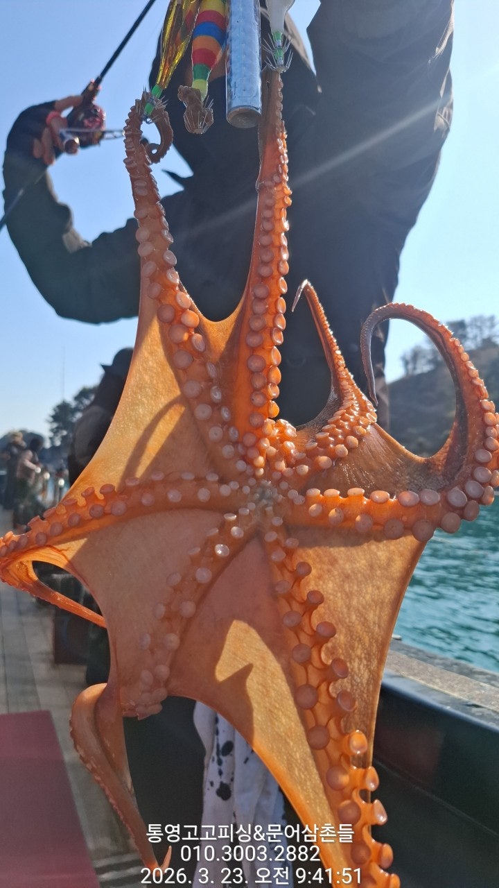 ����ڰ� �ø� �̹���