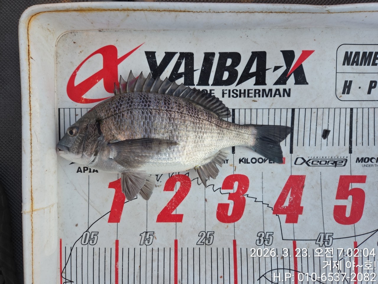 ����ڰ� �ø� �̹���