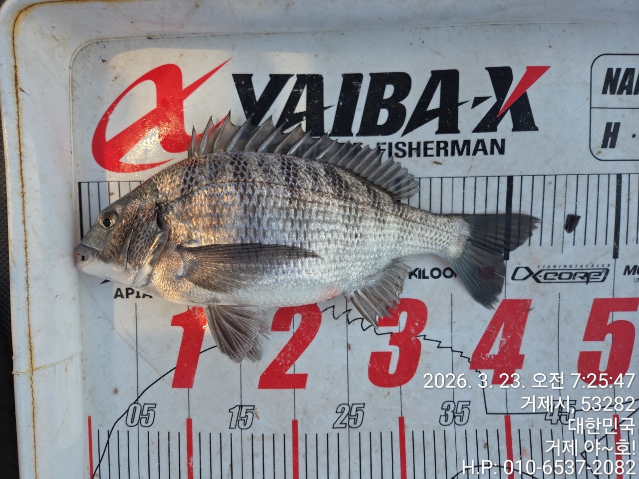 ����ڰ� �ø� �̹���