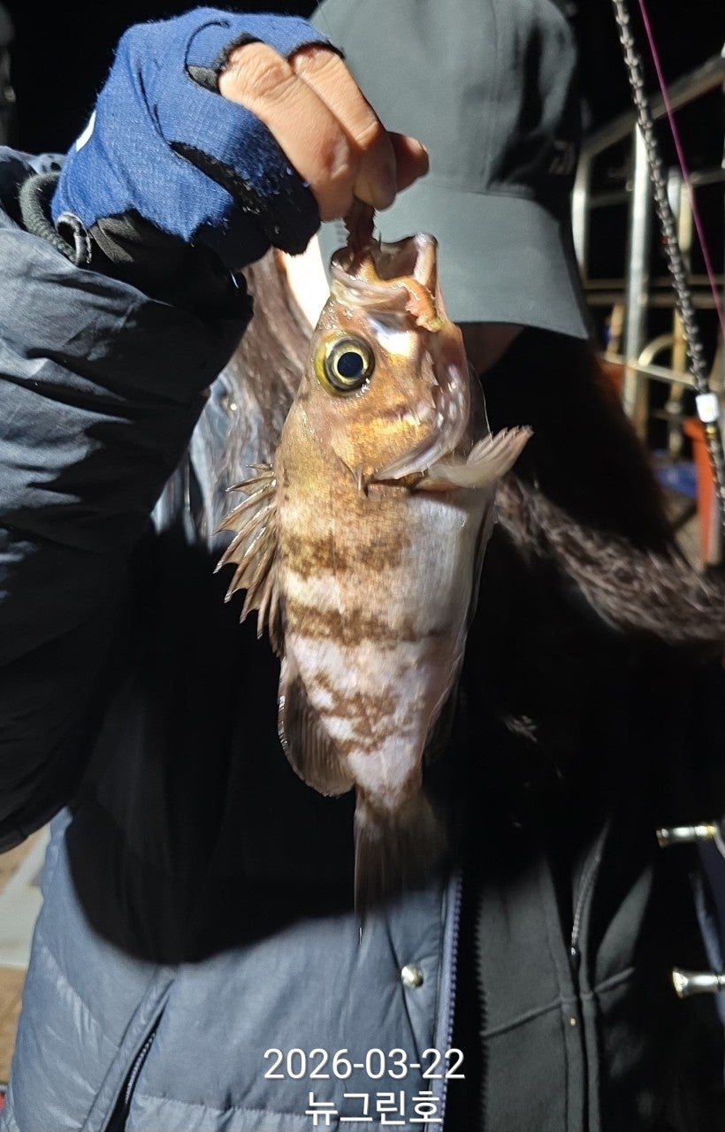 ����ڰ� �ø� �̹���