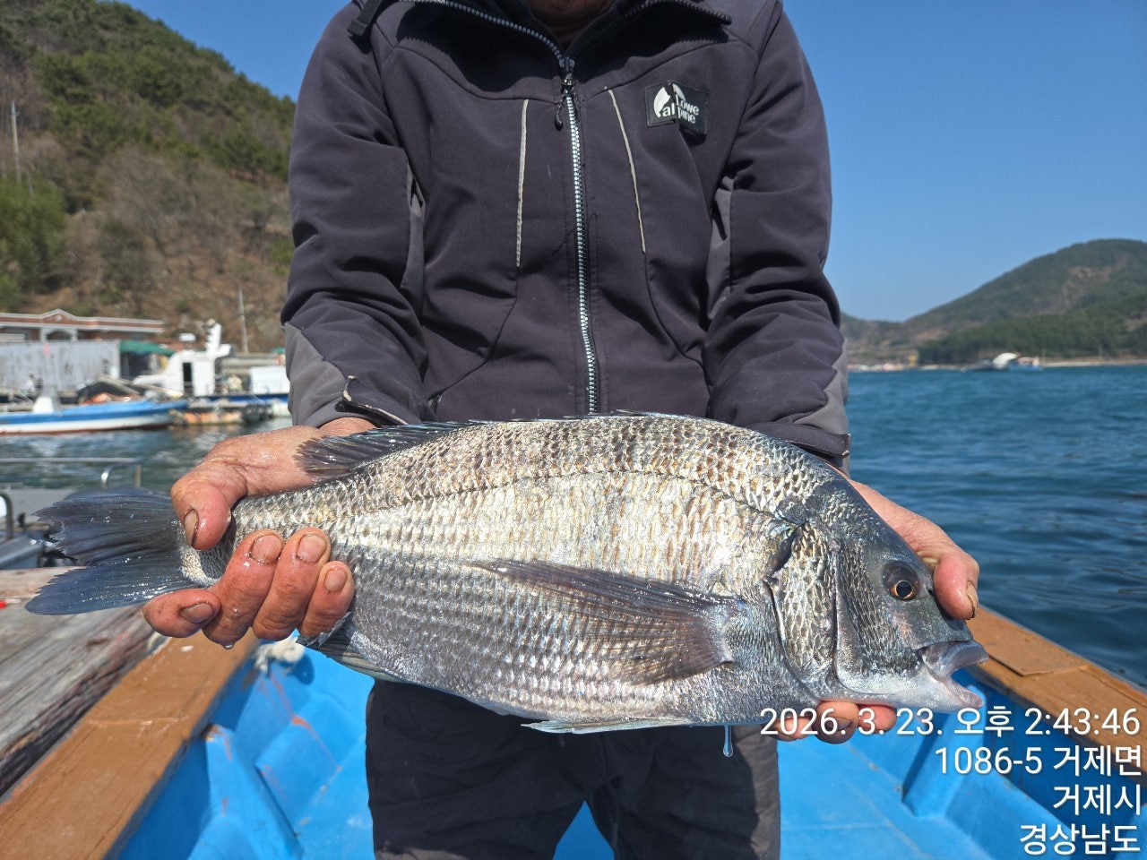 ����ڰ� �ø� �̹���