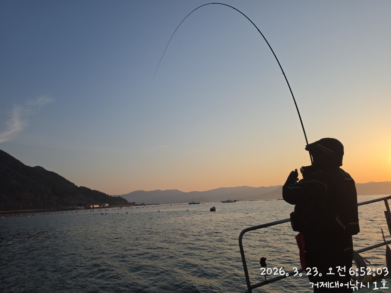 ����ڰ� �ø� �̹���